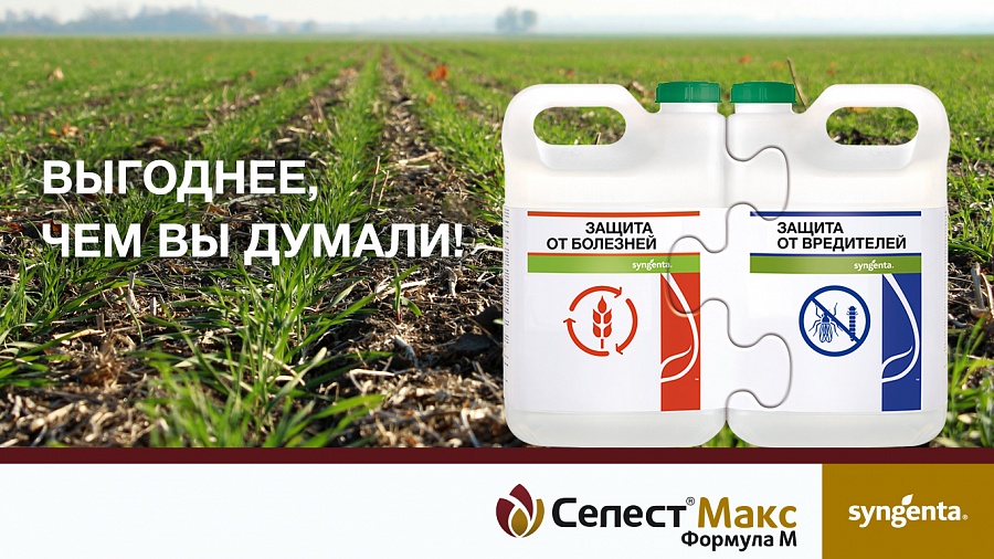  Три "Богатыря" Syngenta Seedcare®