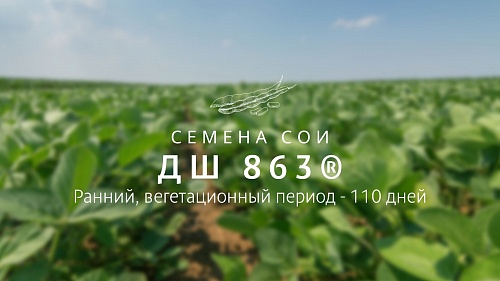 Семена сои ДШ 863®