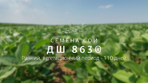 Семена сои ДШ 863® 