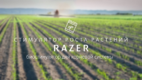 Разер - специальный биостимулятор для корневой системы