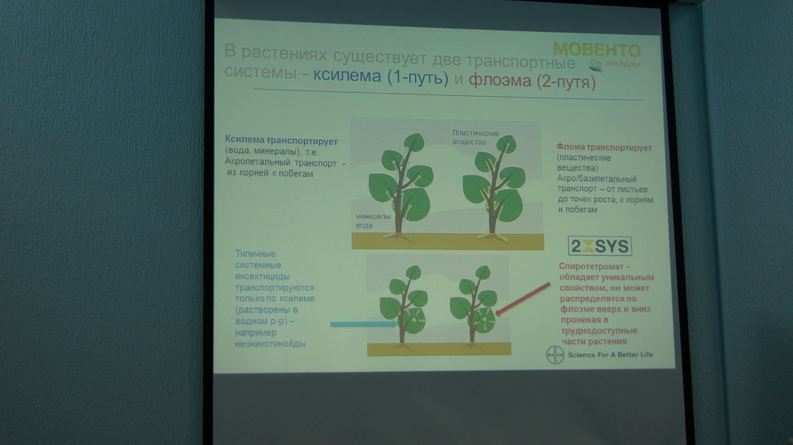 Зимний семинар в Пятигорске