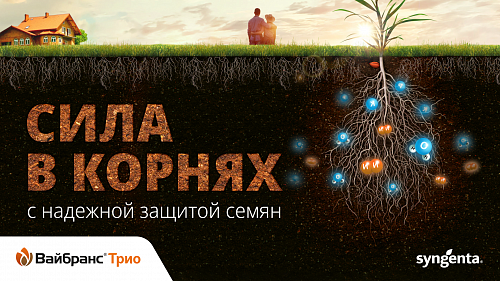 ВАЙБРАНС® Трио - надежная защита семян