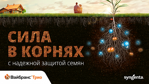 ВАЙБРАНС® Трио -  надежная защита семян