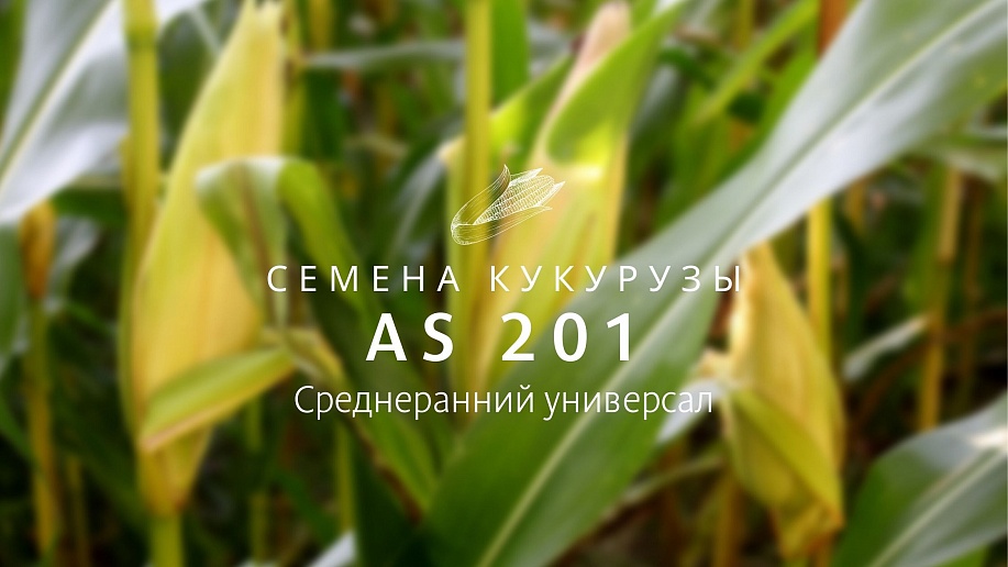 Семена кукурузы AS 201