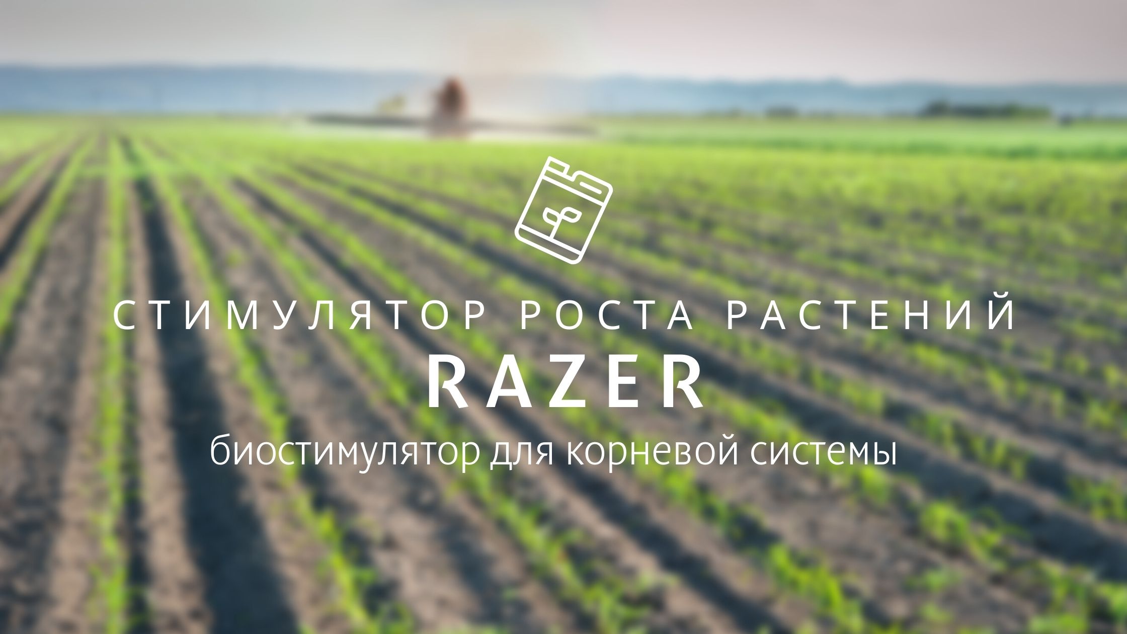 Разер - специальный биостимулятор для корневой системы 
